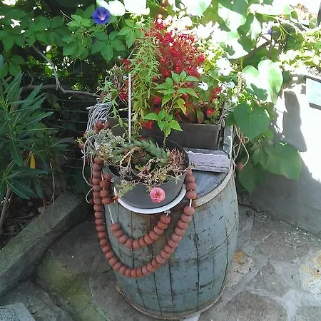 Apartment Luka Tisno