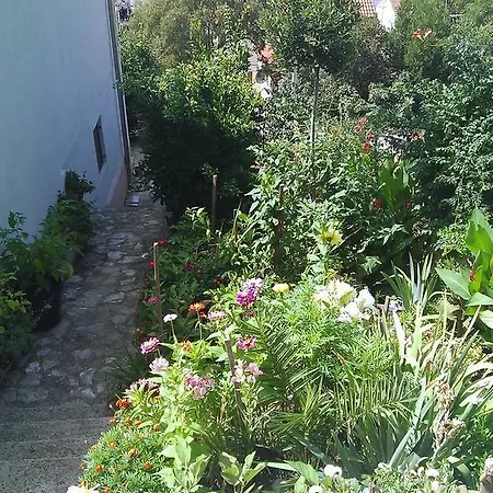 Apartment Luka Tisno