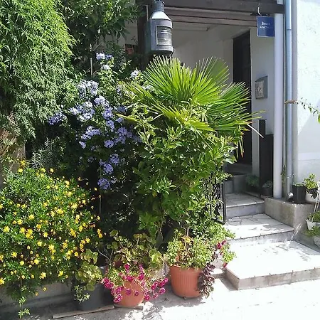 Apartment Luka Tisno