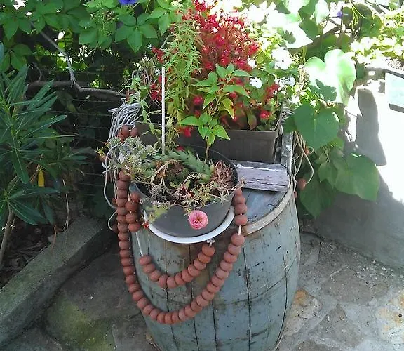 아파트 Luka 티스노